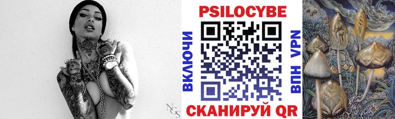 Галлюциногенные грибы Psilocybe Пестово